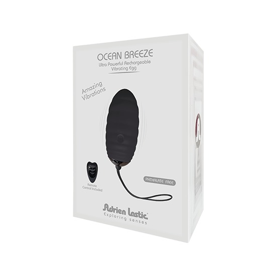 OCEAN BREEZE EGG WITH REMOTE - BLACK image 1