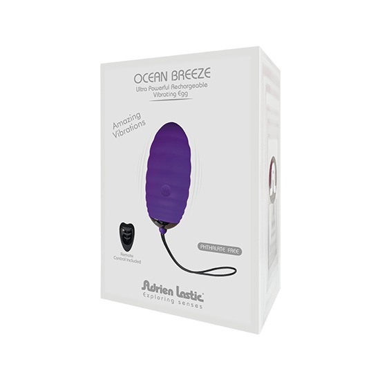 OCEAN BREEZE EGG WITH REMOTE - PURPLE image 1